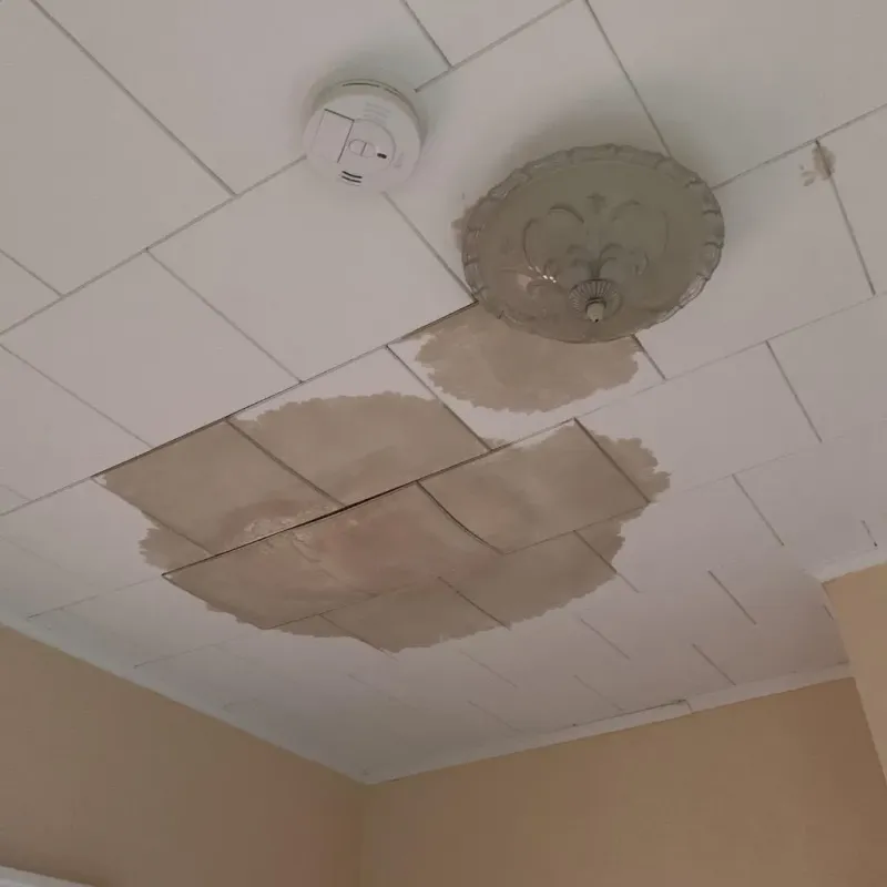 Ceiling Water Damage Repair in Sussex, VA