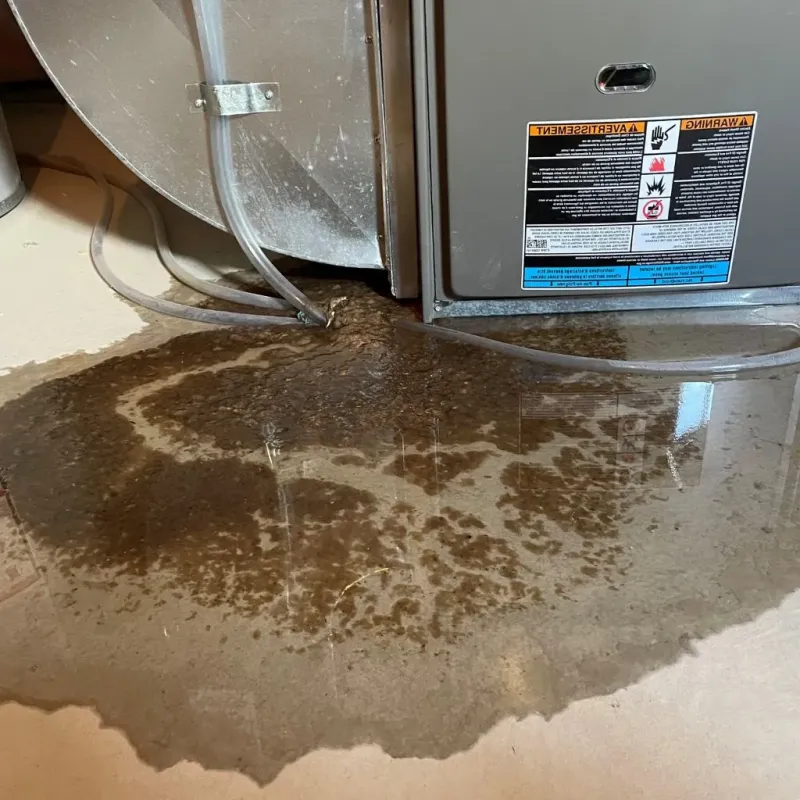 Pipe Burst and Leak Restoration in Sussex, VA