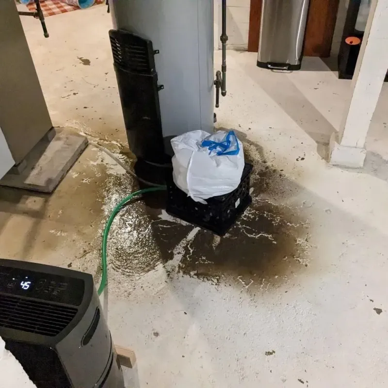 Sewage Backup Cleanup Service in Sussex, VA